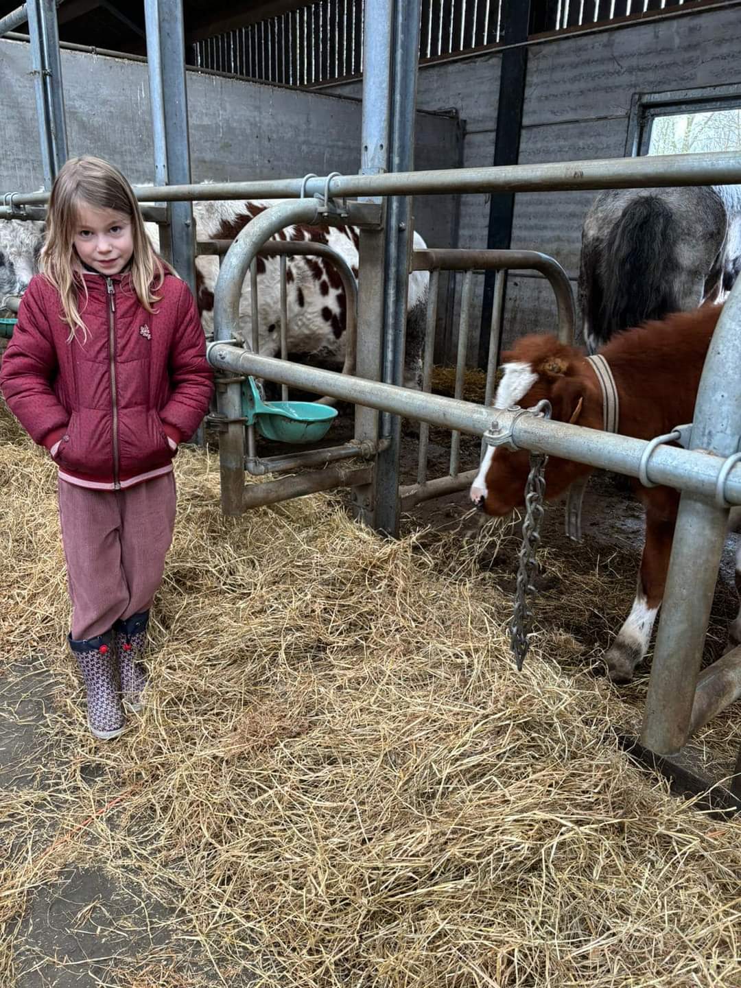 FB_IMG_1710516288412