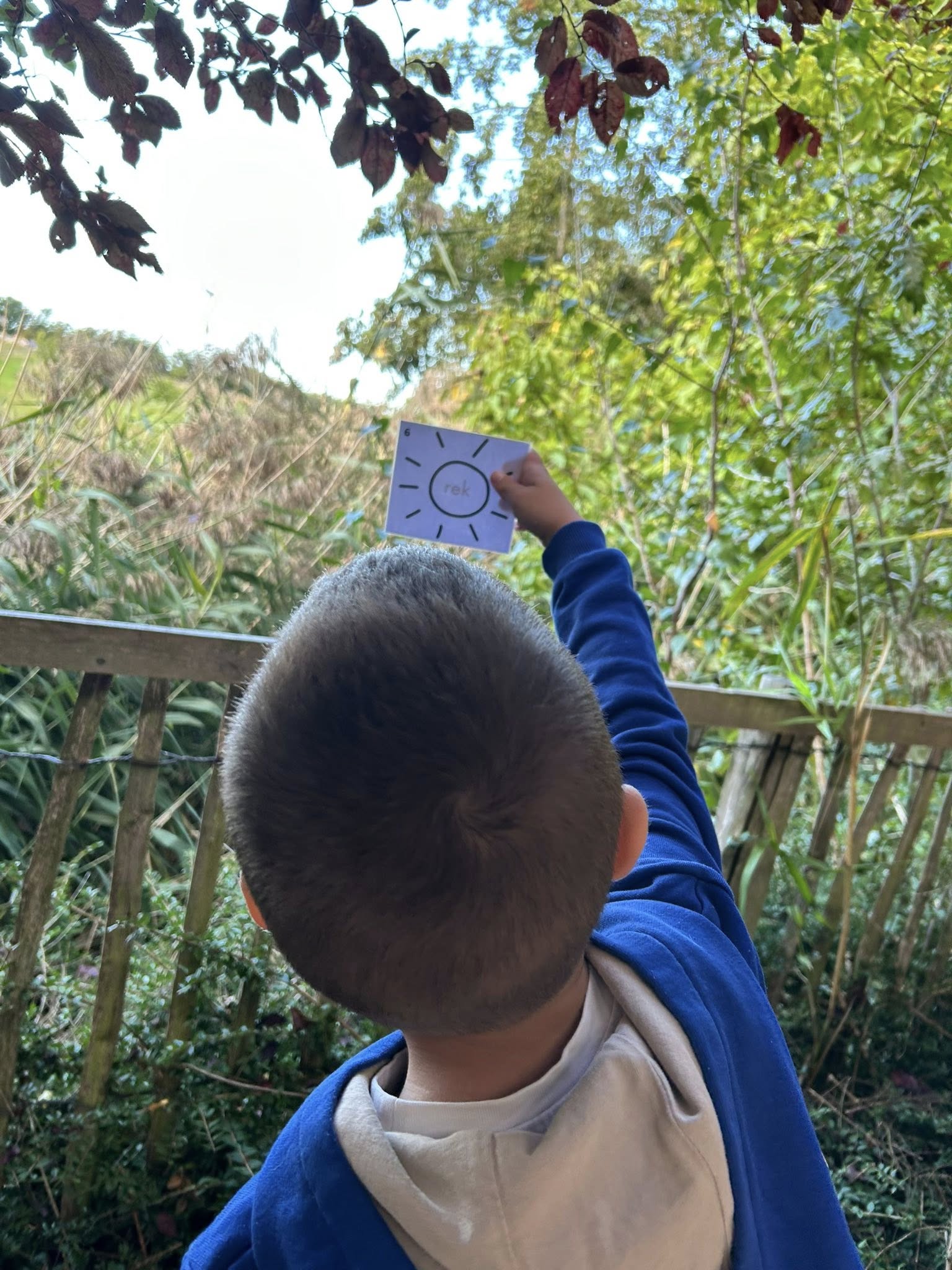 555964288_24966015966351330_344225644976847657_n