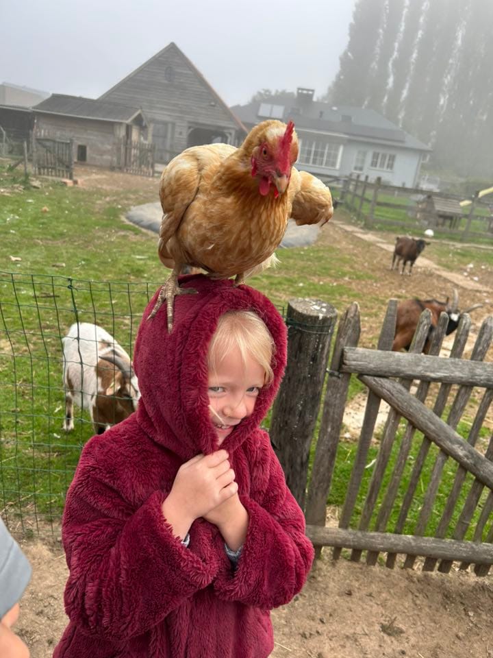 558332683_24972993582320235_3655022883326160225_n